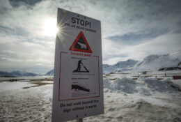 Spitsbergen_2025 (16/78)